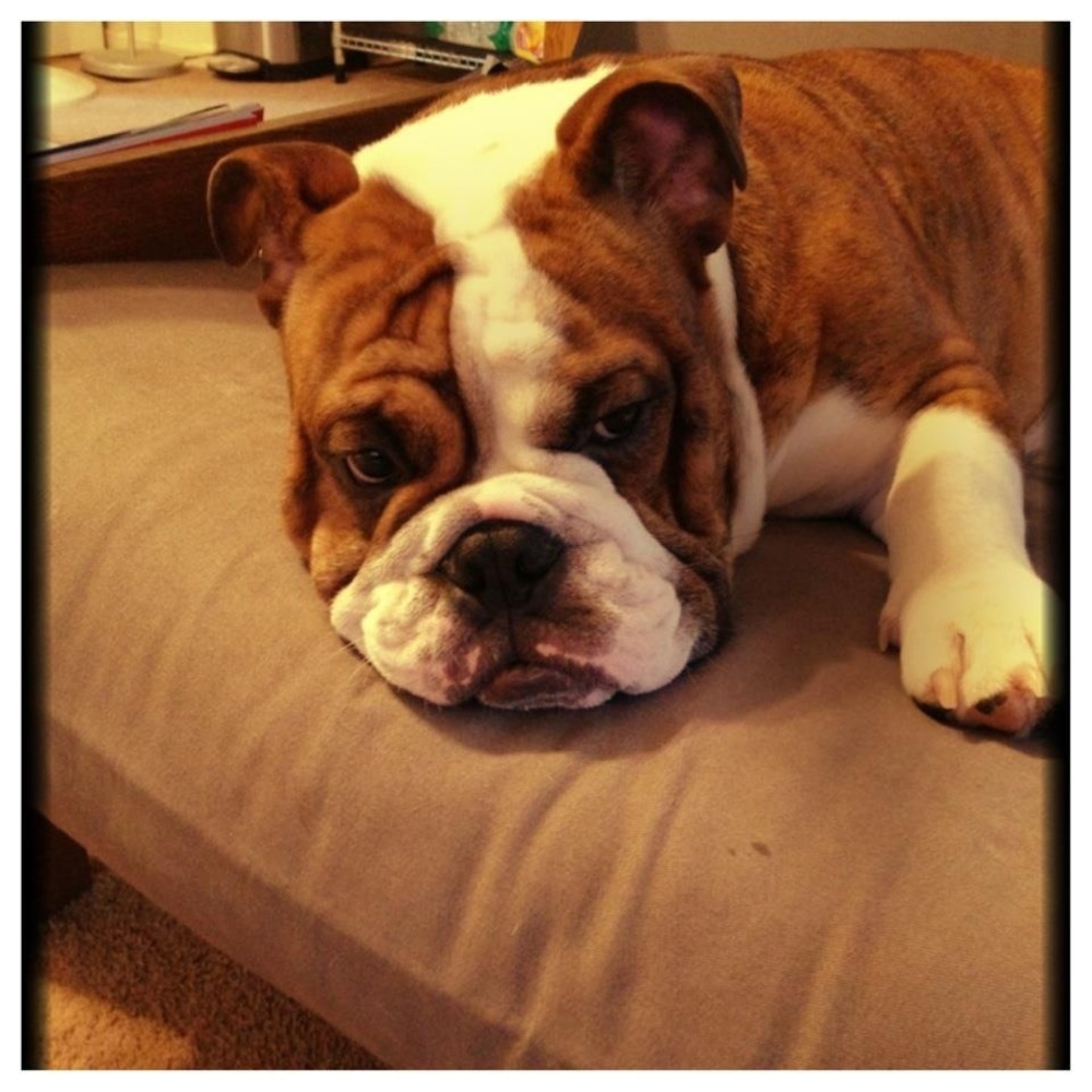 Meet your Posher, Mari